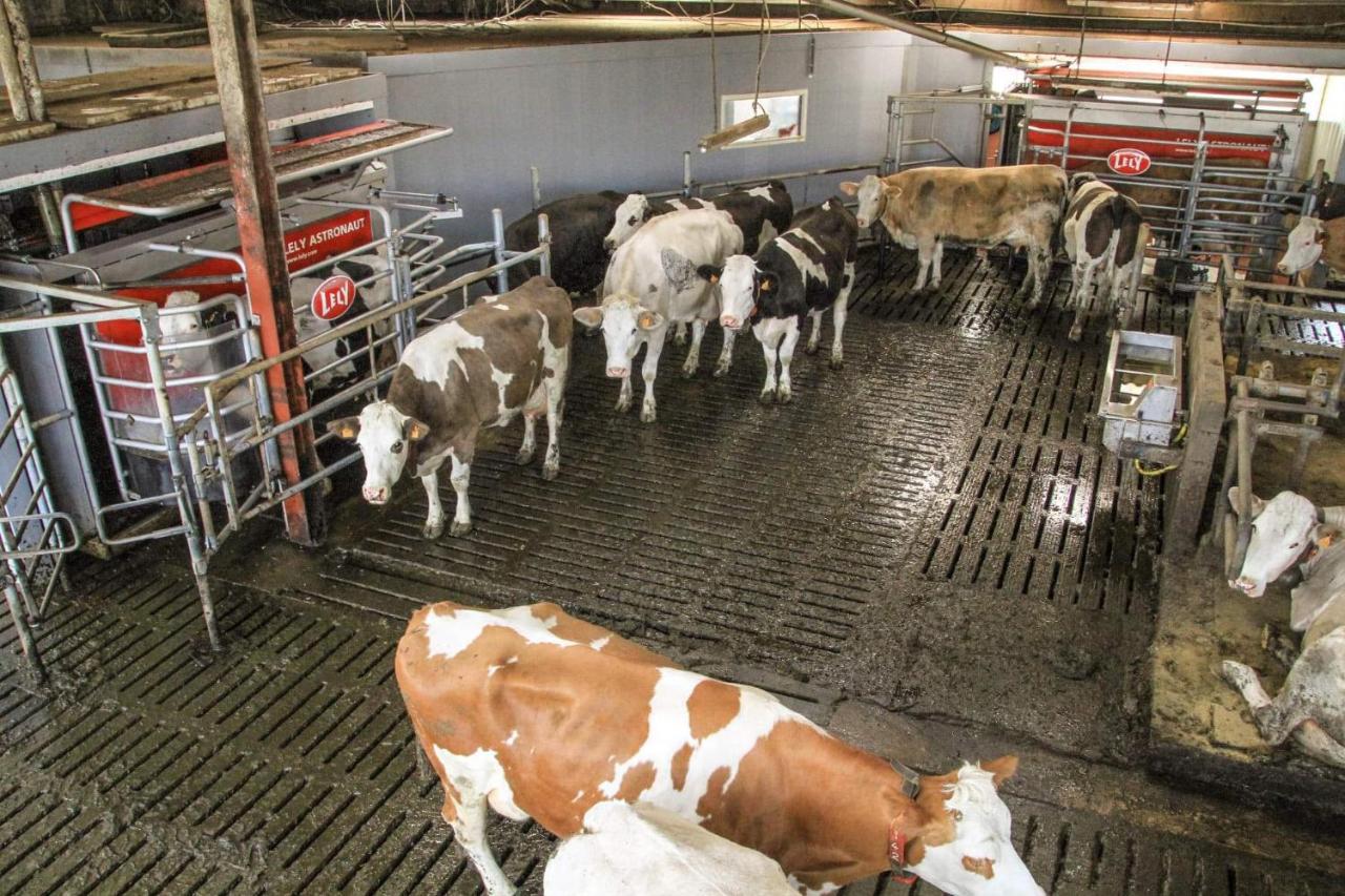 Gite A La Ferme Rouvroy Exterior photo